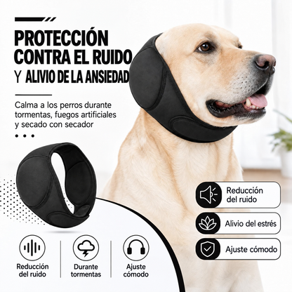 Respiro Safe Kit